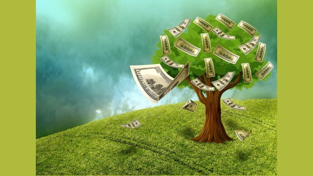 a watercolour design of a Money Tree