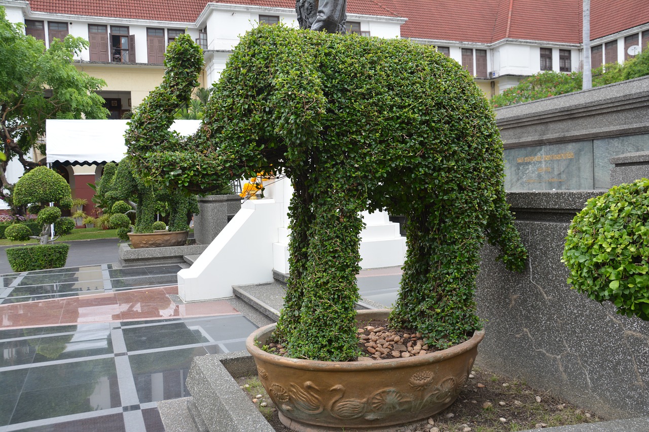 A topiary hedge shaped as an elephant