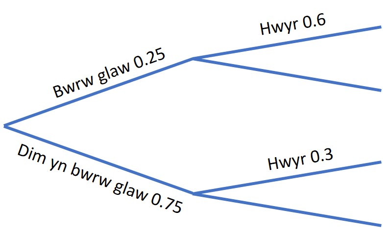 probability tree